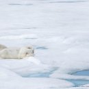 행정사 김봉규 사무소 이미지