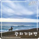 오드리김밥 | 성산 광치기해변 물때 제대로 보는 법 | 만조·간조 풍경·인생샷 포인트 + 오드리김밥 흑돼지김밥 후기