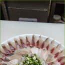 우리활어
