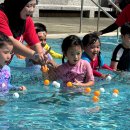 AHIS Swimming Gala 2025 Highlights! 이미지