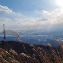 솔밭가든 이미지