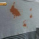 세탁의 달인 이미지