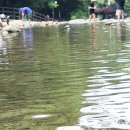 가평물골숲계곡캠핑장 이미지