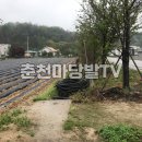 양구 공인중개사사무소 Daum카페