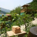 향로산장민박 이미지