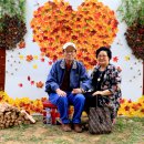 세종대학교박물관 이미지