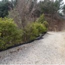 개나리주유소 | 한북정맥[漢北正脈] 제06구간[큰넓고개~죽엽산~비득재~노고산(인증)~다름고개] 등산 후기(2026. 03. 29.)