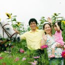 렛츠런파크 제주 이미지