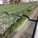 사봉면사무소 앞 이미지