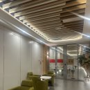 쌤유아체육관 | Nanjing International School (NIS) | 중국 난징 국제학교 후기
