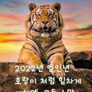 KT 안내 설명절 보이스피싱 및스미싱 주의 이미지