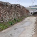 매화농원 이미지