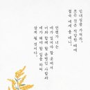보람동_호려울501동앞 이미지