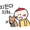 신화헬스클럽 이미지