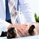 기운찬 동물병원 이미지