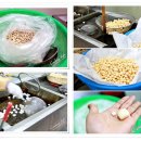 서산 아라메 길목에 전통한과를 맛볼수있는곳-서산생강한과