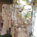 임성규농장 이미지