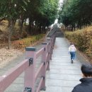 우산생태숲 이미지