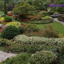 엠케이카써비스 이미지