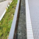 더조은약품 이미지