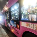 소망카랜드 | 서울 여행 겨울밤의 로맨틱한 초대 남산타워 완벽 가이드 조명 색깔 의미 &amp; 주차 팁