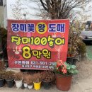 수빈화원