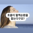 개포요가정