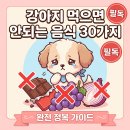 약물중독의 바른 이해 - 알코올 & 카페인 | 강아지 먹으면 안 되는 음식 30가지 – 치명적 독성물질 완전 정복 가이드