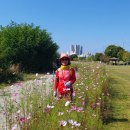 원주굽이길 5코스 버들만이길 이미지