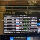 Cat garden | [2박3일 도쿄] 김포-하네다 / ANA 항공 / 츠케멘 / 긴자