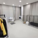 러닝독 스테이 | 🐾김포애견유치원 추천✨ 러닝독스테이에서 반려견 맞춤 교육과 케어를 경험하다🐶