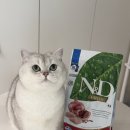 참좋은닭고기 | 파미나 N&D 프라임 캣 닭고기&석류 급여후기 / 기호성좋은 입문용 고양이 사료 추천