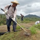 장수읍안양마을로 이미지