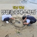 커피베이해남땅끝점 | 여름방학 해수욕장 성지, 땅끝송호해수욕장에서 물놀이, 모래놀이, 게잡기까지 with 커피베이 해남땅끝점