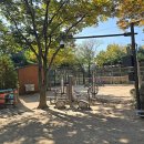 와룡공원길 이미지