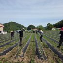 진안읍행정복지센터 이미지