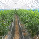 오디하우스 이미지