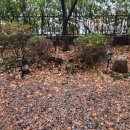 서초대로33길 4 이미지