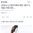 [부산일보][포토뉴스] 광안리해수욕장 ‘펭수’도 태풍 피해 대피… 이미지