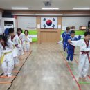 경희대석사 늘푸른태권도 이미지