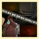 소호로L | 2025 여수 불꽃 축제 범선 코리아나 후기 l 비와 함께한 웃픈 낭만