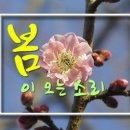 봄은 이미지