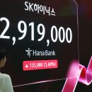 1241 헤럴드경제
