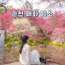 세광교회 개방화장실 | 전남 순천 가볼만한곳 순천 홍매화 명소 복음교회 만개