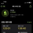 게으른 악어 이미지