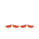 금화애견 이미지