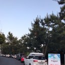 제주세끼