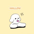 물의거리 분수대 | 호치민 자유여행 시청 광장 I 강아지랑 베트남 호치민 여행 EP.5