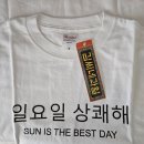김씨네과일 | 김씨네과일 요일티 일요일 상쾌해 S 내돈내산 후기