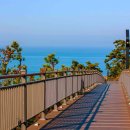 바다와노을 이미지